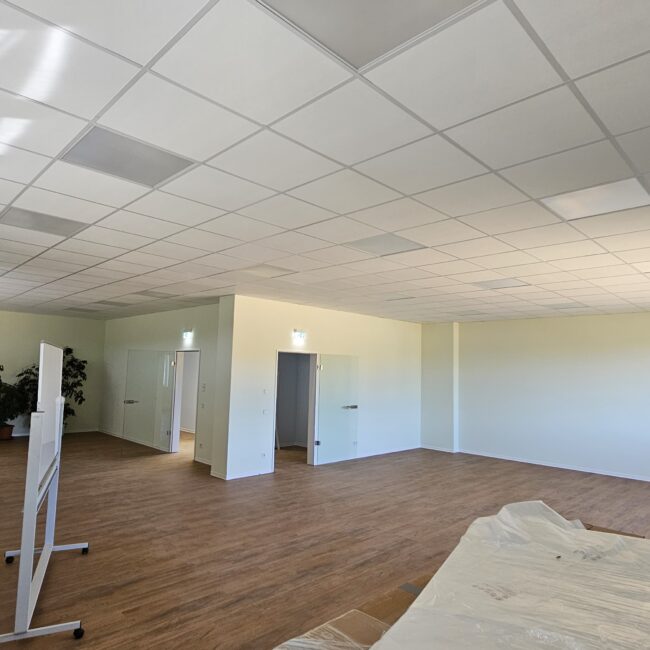 Widdern HQ hestomed