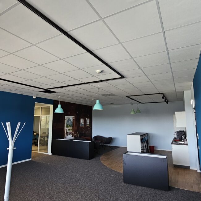 Widdern HQ hestomed